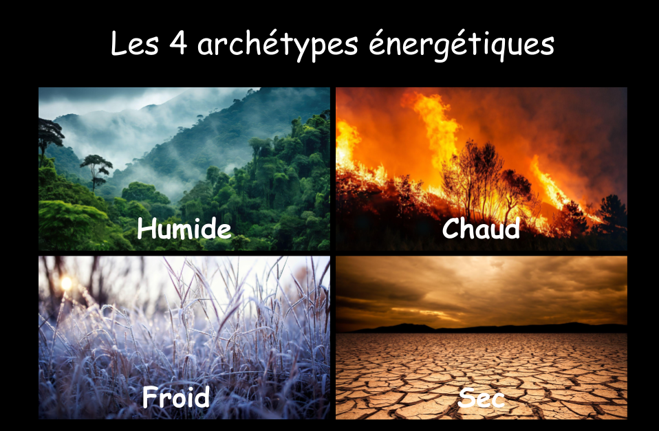 Lequel de ces 4 archétypes reflète votre climat intérieur ?